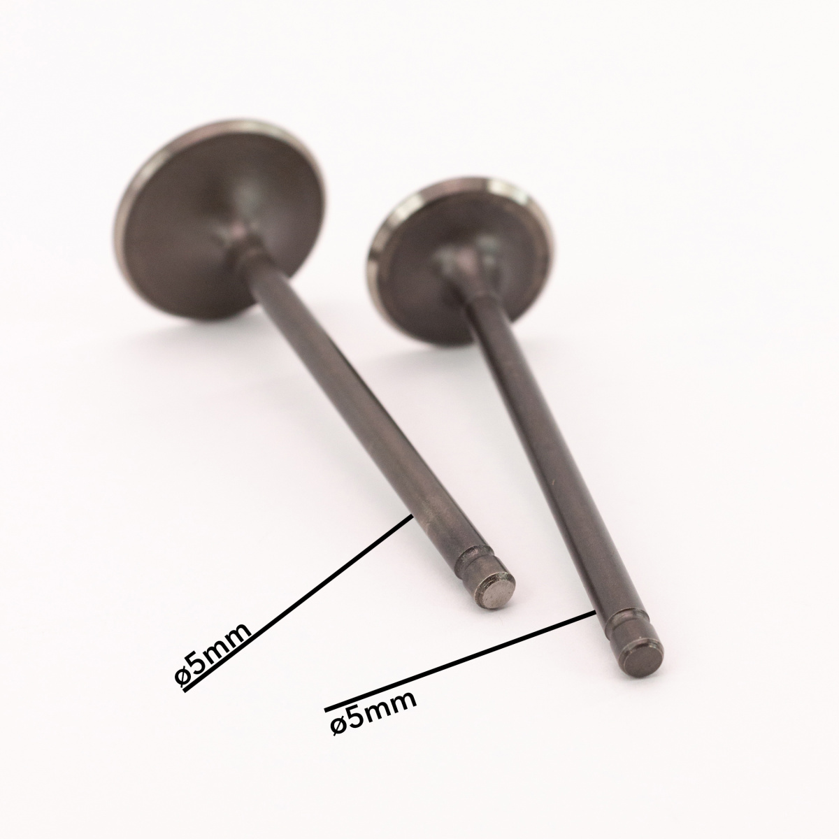 IMG_4421_ копия